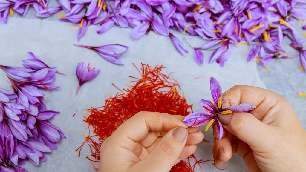 نکات مهم در مورد فواید زعفران برای زنان