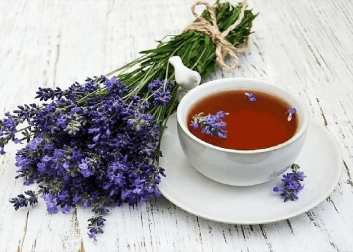 دمنوش گل گاو زبان برای فشارخون