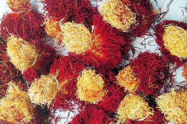 راهنمای خرید زعفران دختر پیچ