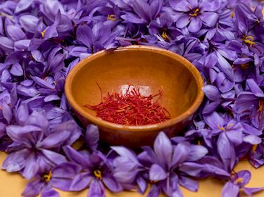 بهترین زمان برای خرید زعفران کدام است؟