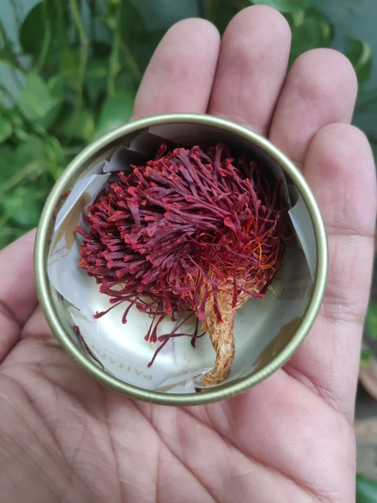 تفاوت عصاره زعفران فوری با زعفران چیست؟