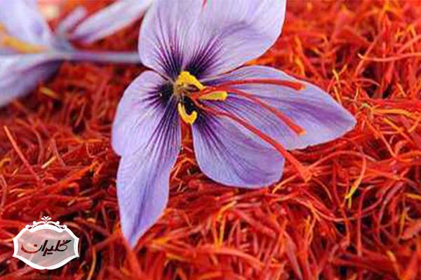 یک مثقال زعفران