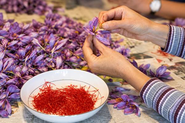 چگونه از پرچم زعفران استفاده کنیم؟